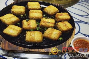 歙縣三陽鎮紫云山莊 品味原生態徽菜的文化韻味