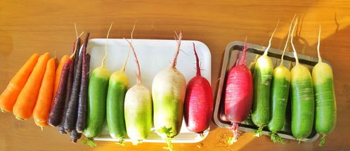 追本溯源，探訪平度原生態農業產品與徽菜文化的交融