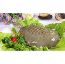 塞納河畔，歐風街上的原生態徽味 一家徽菜館的獨特魅力